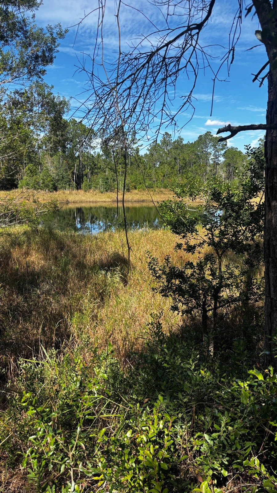 LAKE VIEW VACANT LAND INTERLACHEN LAKES ESTATES ALMOST AN ACRE .83 FSBO