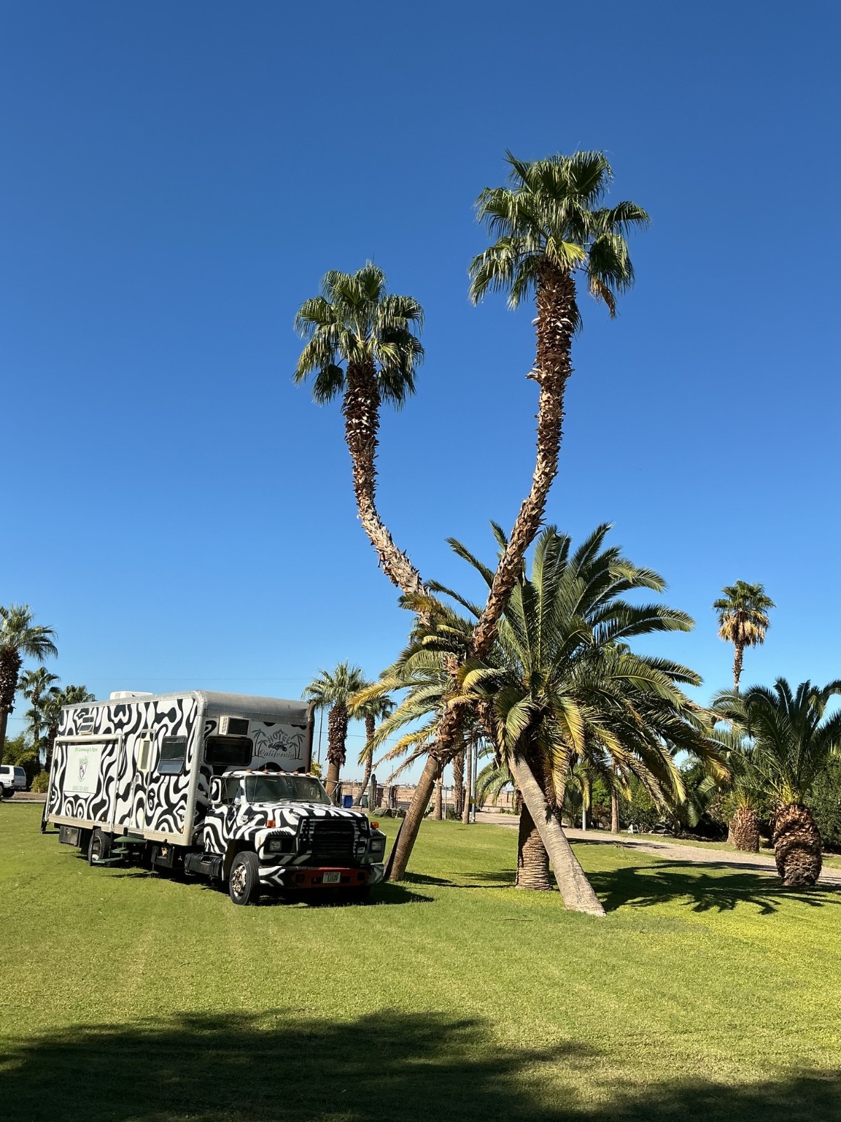 Ford F700 motorhome toyhauler