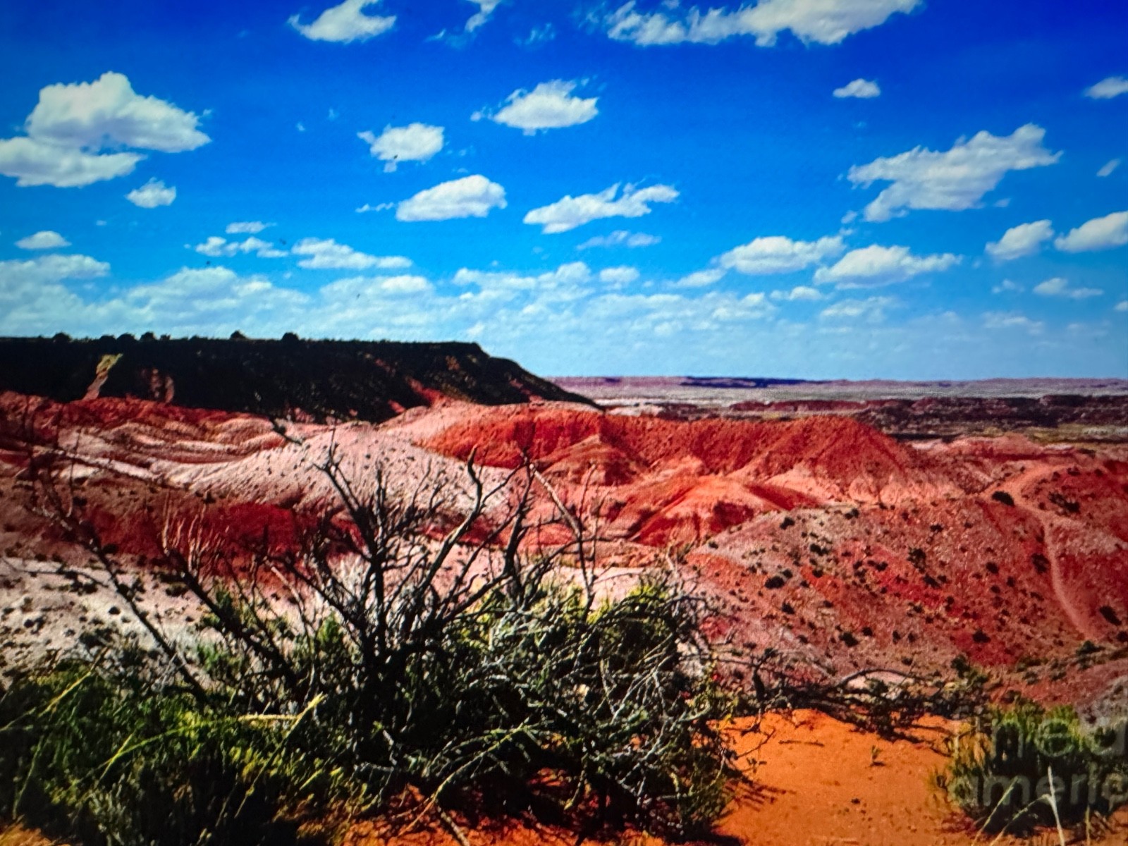 62.24 AC~GORGEOUS RED DESERT, WYOMING~SUPER RARE~NEAR COLORADO~OWNER FIN 0% INT