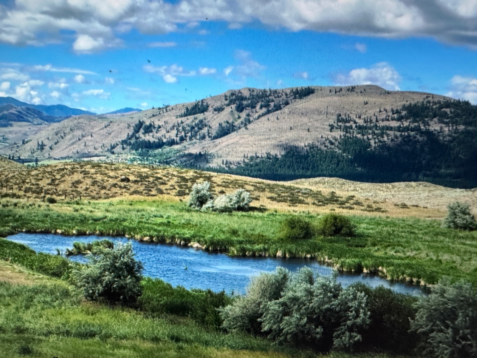 GORGEOUS LOT IN ELK BEND IDAHO FEET FROM THE FAMOUS SALMON RIVER~OWNER FIN 0%
