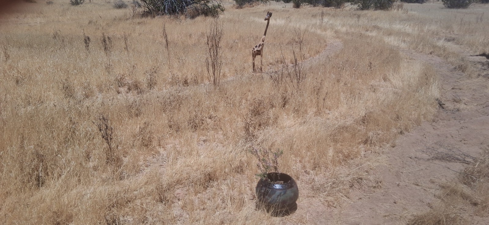 California City Land 2.5+ acres