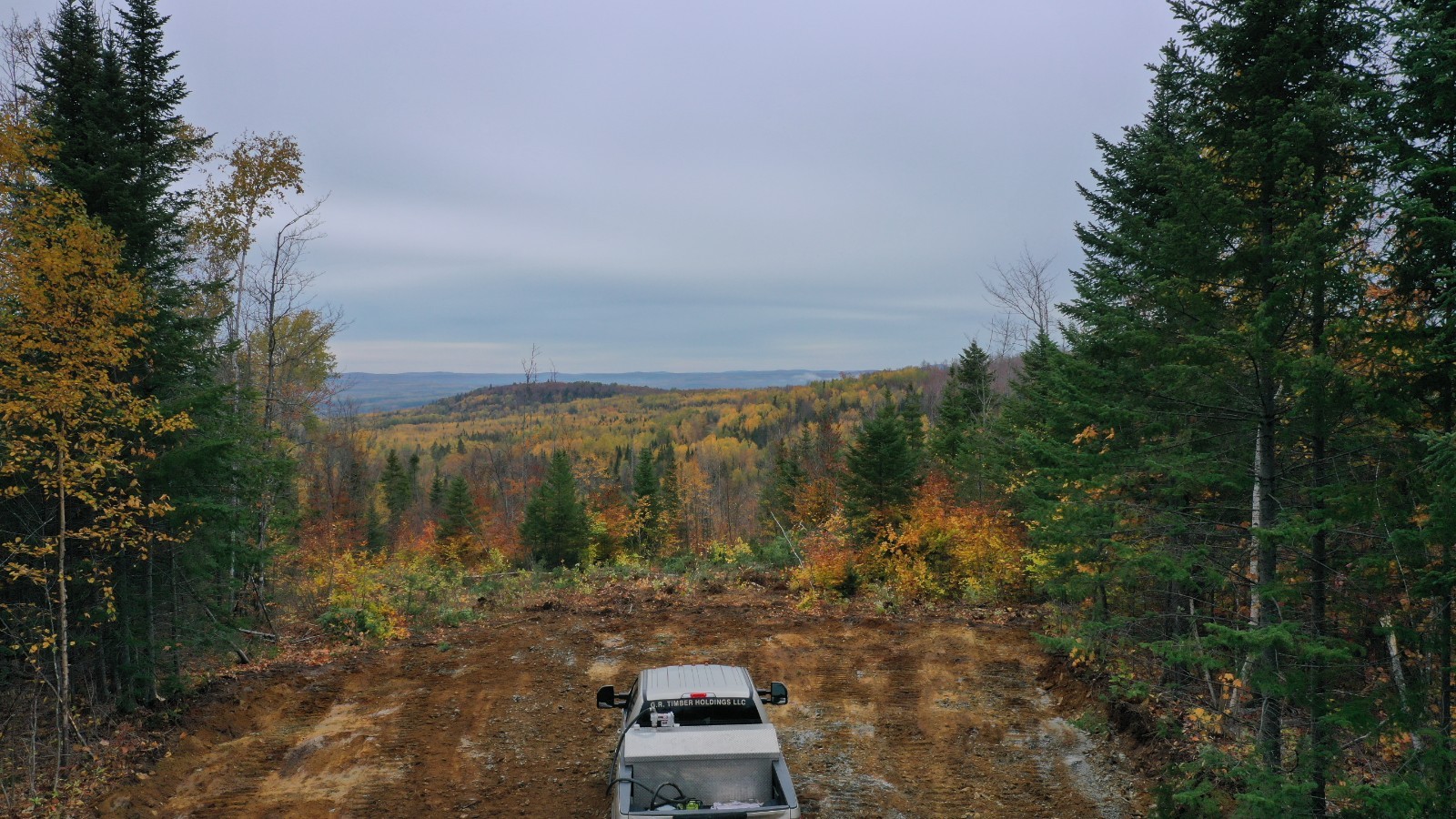 **OWN 63 ACRES+/- OF LAND IN NORTHERN MAINE NEXT TO THE CANADIAN BORDER**