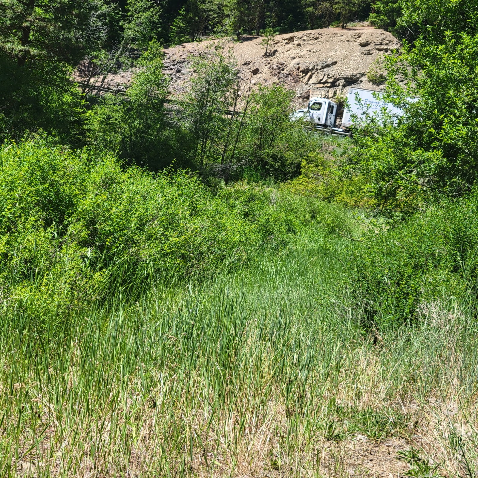 Mineral Rights Claim In Swauk Creek —***GOLD – PLUS*** Washington State